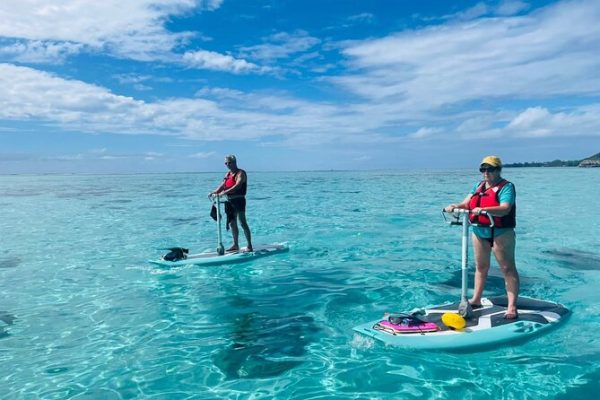 Electric Mountain Boarding, 2025’s Eco-Thrill Adventure Sport