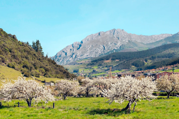 Asturias Unveiled: Spain’s Untapped Gem of Mountains, Cider & Coastal Charm