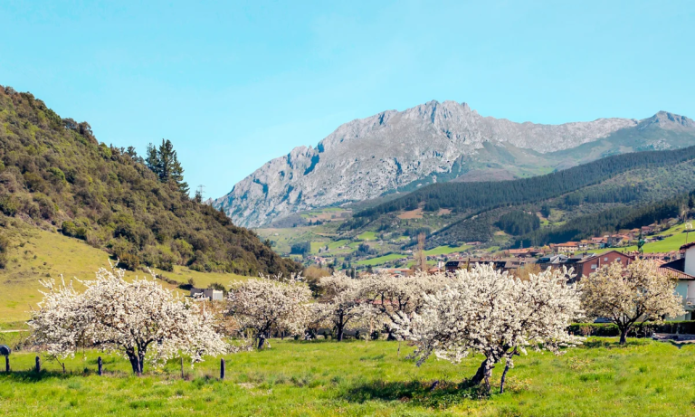 Asturias Unveiled: Spain’s Untapped Gem of Mountains, Cider & Coastal Charm