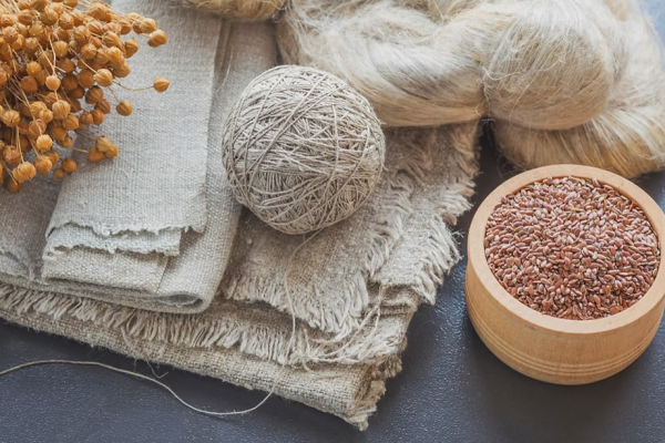 Biodegradable Fabrics and Circular Design: The Twin Engines of Sustainable Fashion in 2025